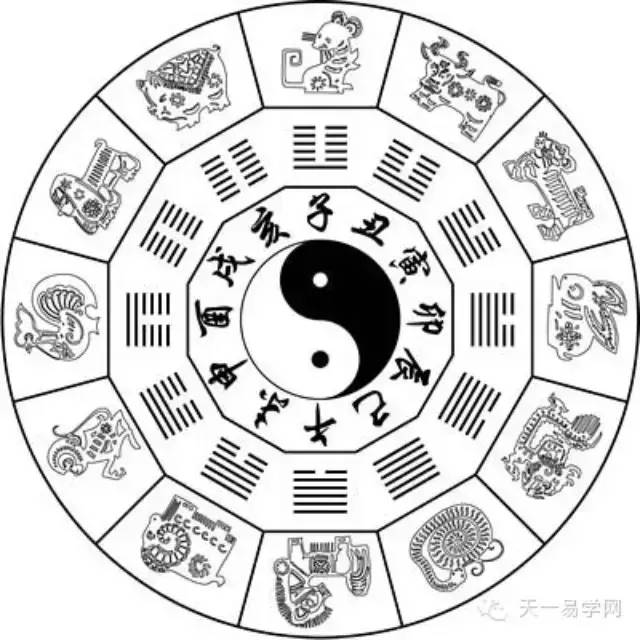 八字论脾胃病的发现