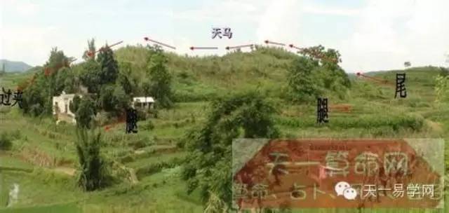 阴宅风水与后代兴衰