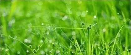 盲派口诀—乙生秋季用火攻（实例解析）
