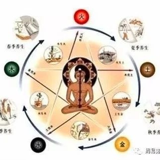 一个有趣的中医与八字的结合案例