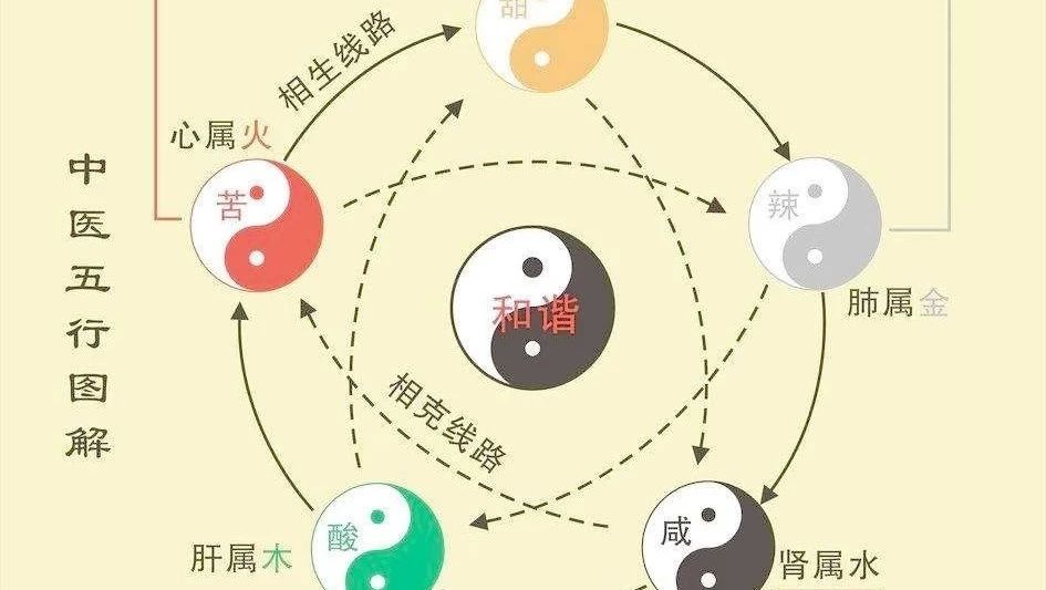 中医上五行学说概述