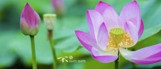 多年之前的一个财库穿阳刃，身财两伤的八字