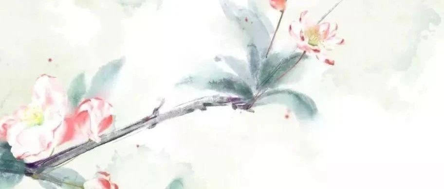 盲派命理取象初探