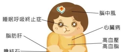 探究两个“食言而肥”的八字以及减肥方法！