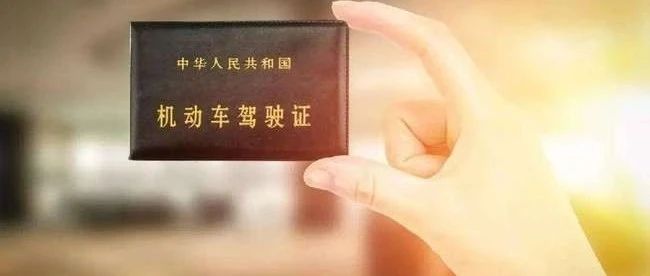 两个驾照择日卦，结果却一喜一忧