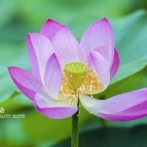 积阴德，扭转霉运