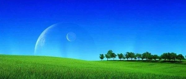 一个不太好判断的官司卦解析