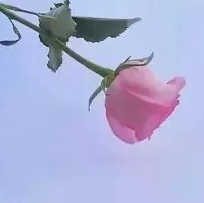 老中医整理出来的五十九个秘方