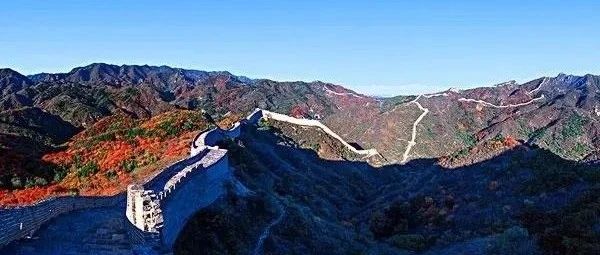 盲派案例解析之“绝算之命”