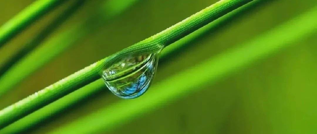 古人讲：天有三宝日月星，人有三宝：精气神，养足就是养生命